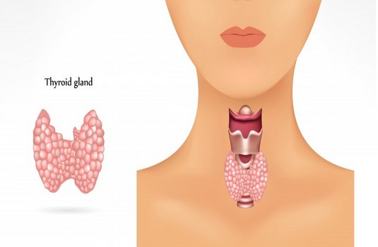 Hypothyrodism treatment in India : Cost, Hospitals & Doctor