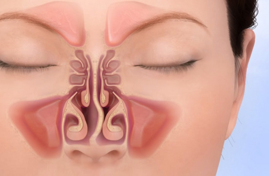 Septoplasty Surgery In India Cost Hospitals And Doctor