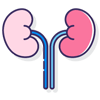 Consult Nephrology Specialist Online - Mediflam